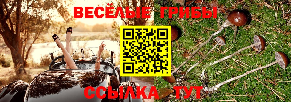 Галлюциногенные грибы Cubensis Лянтор