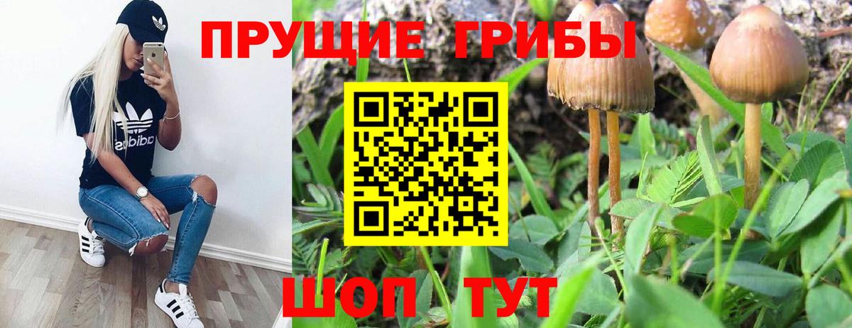 Псилоцибиновые грибы Magic Shrooms  Вход с VPN  Лянтор 